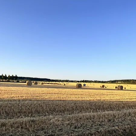 Le Chant Du Petit Jau *