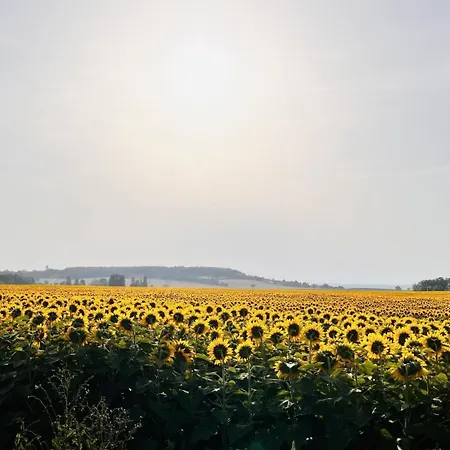 Hébergement de vacances Le Chant Du Petit Jau *